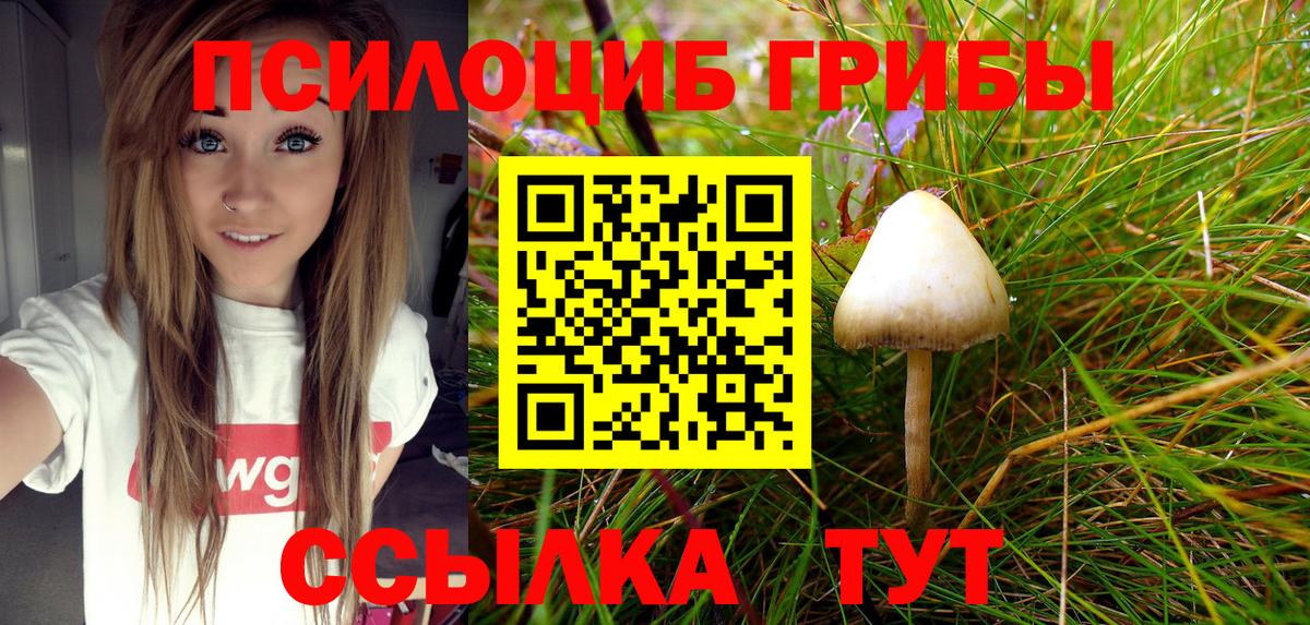 Галлюциногенные грибы Psilocybe Ханты-Мансийск